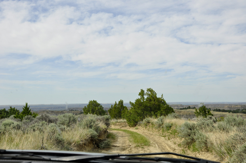 Montana's Makoshika State Park